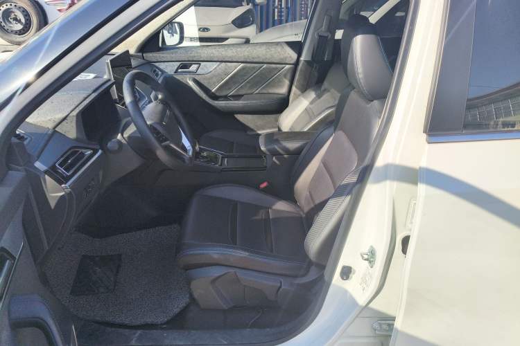 Used Venucia T60EV 2020 AI Enjoyment Model