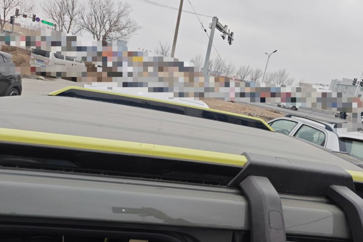 Used  Panda 2024 200km Panda Rider