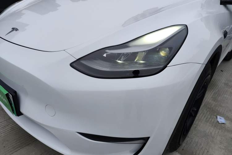 Used Tesla Model Y 2021 Standard Range Rear-Wheel Drive Version
