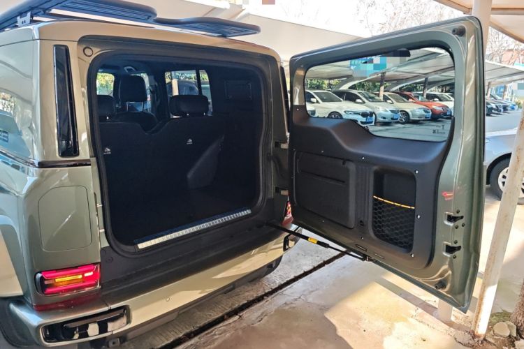 Used  V23 2025 401 Two-Wheel Drive Advanced Edition
