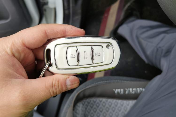 Used  Panda 2024 Panda Mini 200km Endurance Bear