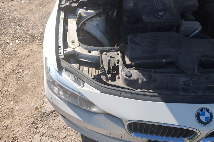 Used BMW 3 Series 2015 320Li Luxury Edition Fashion Model