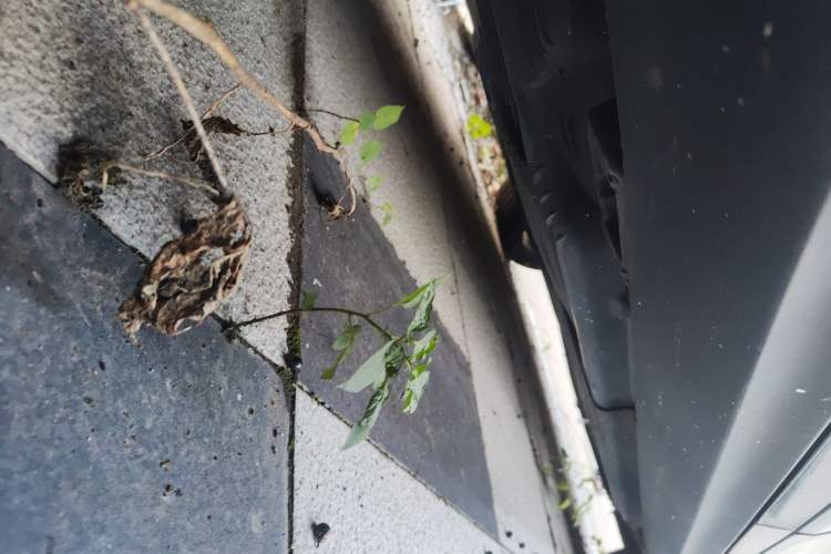 Used Porsche Macan 2017 Macan S 3.0T
