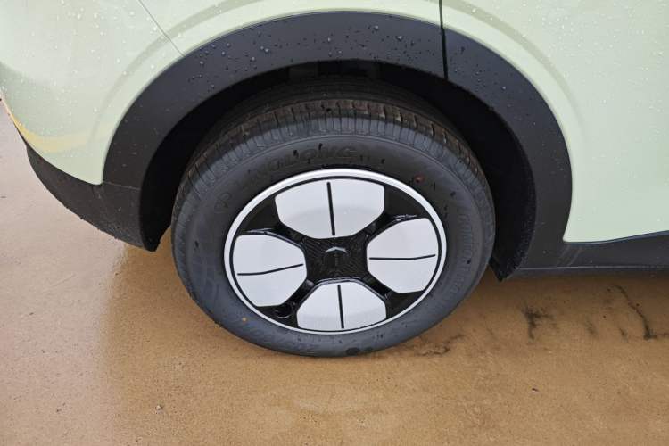 Used  Geome 2025 310km Youth Edition
