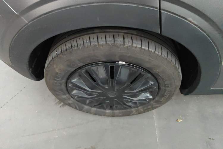 Used  Geome 2025 310km Youth Edition
