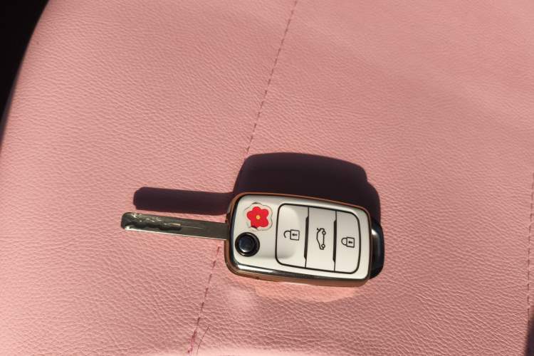 Used Oshan Benni E-Star 2021 National Edition Xin Yue Version (Fast-Charging Edition) Lithium Iron Phosphate (31.95 kWh)
