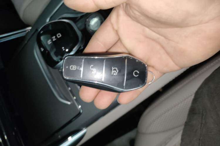 Used BYD Tang New Energy 2025 DM-i 115KM Prestige Model
