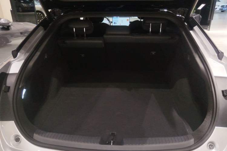 Used XPeng P7+ 2024 Long-Range Max
