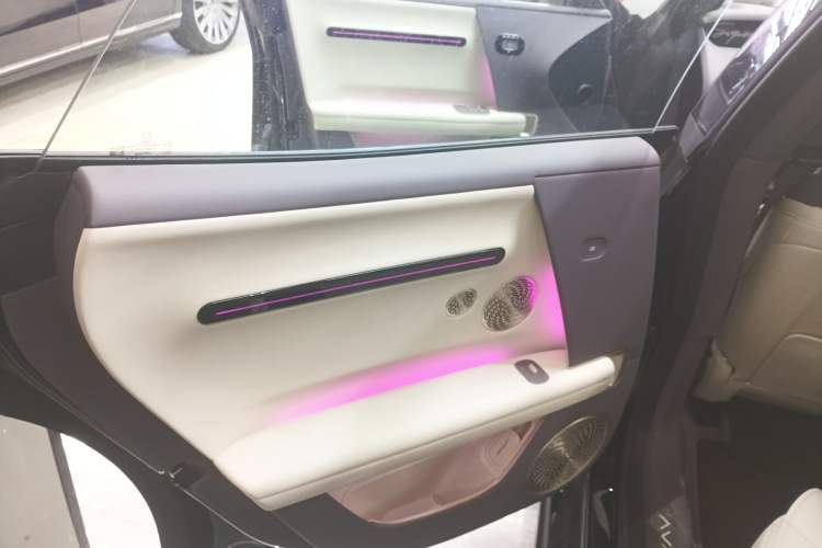 Used  06 2025 Max Extended-Range Edition
