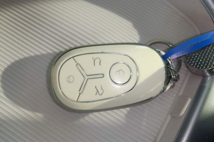 Used  Geome 2025 310km Youth Edition
