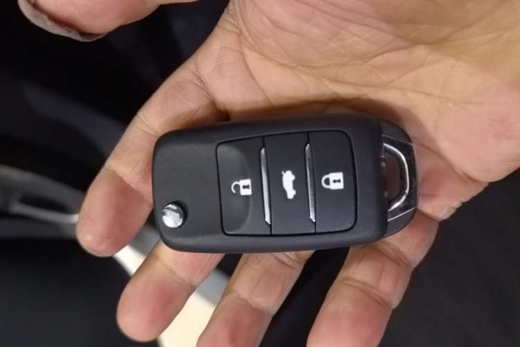 Used  Lumin 2025 205 km Xiangqin Version