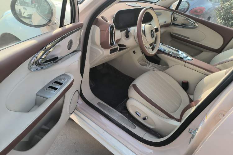 Used ORA Ballet Cat 2023 401 km Luxury Version