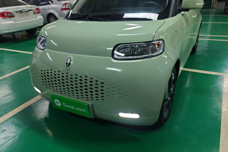 Used ORA White Cat 2020 305 km Luxury Version
