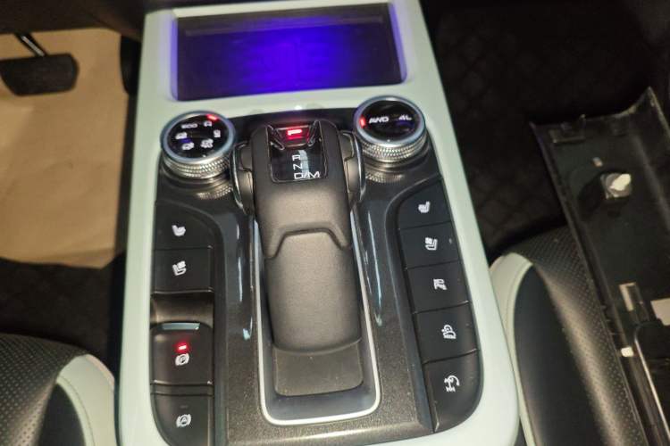 Used Tank 300 2021 City Edition 2.0T—Truly Stylish