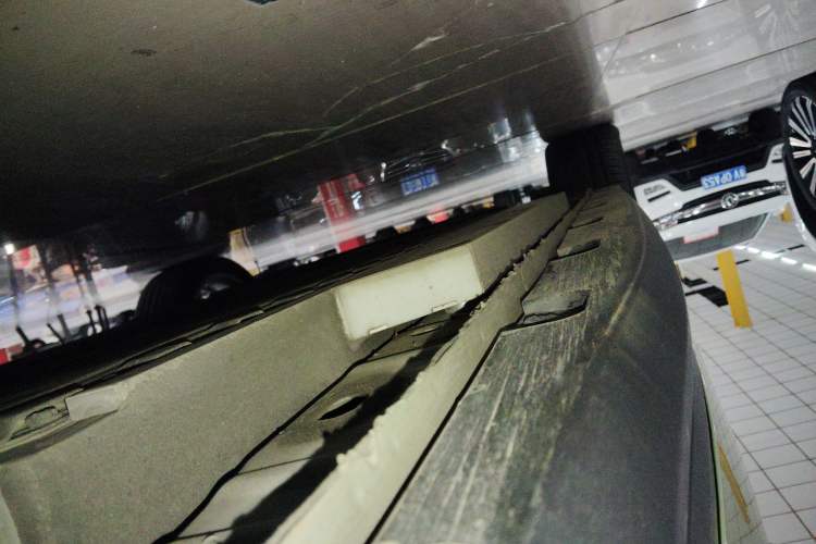 Used ORA Good Cat 2023 401 km Standard Range Luxury Version Lithium Iron Phosphate
