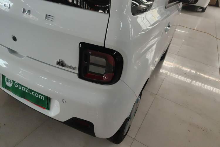 Used  Panda 2024 Panda Mini 200km Endurance Bear
