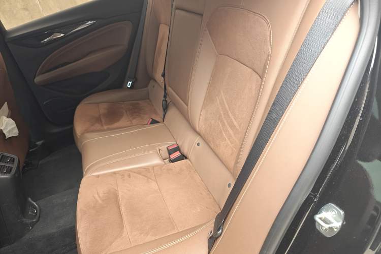 Used Buick Regal 2019 20T Elite Version China V Standard