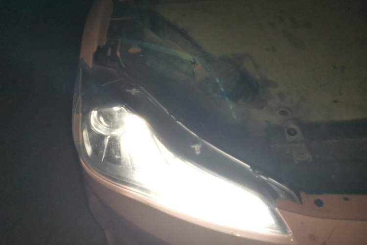 Used NETA V 2021 Witch Edition
