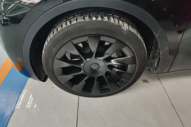 Used Tesla Model Y 2021 Standard Range Rear-Wheel Drive Version
