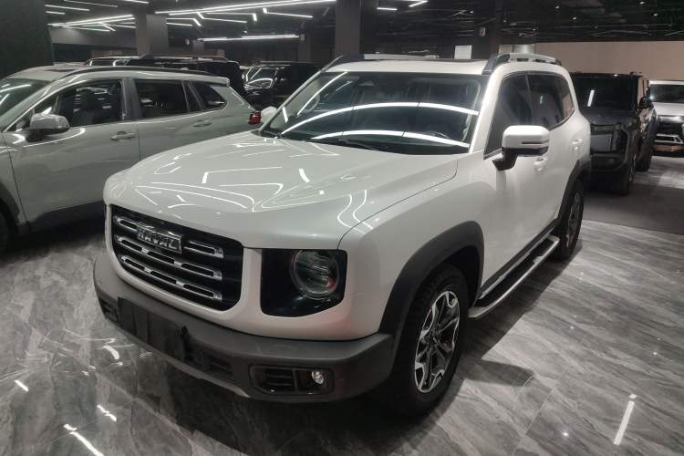 Used Haval DARGO 2021 2.0T DCT 4x4 Chinese Rural Dog Edition