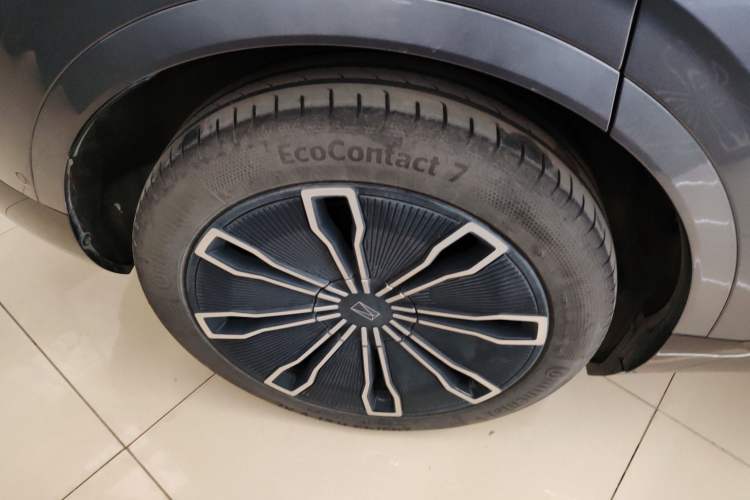 Used  07 2024 Max Extended-Range Edition
