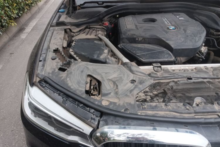 Used BMW 5 Series 2018 Restyled 530Li Luxury Edition M Sport Package
