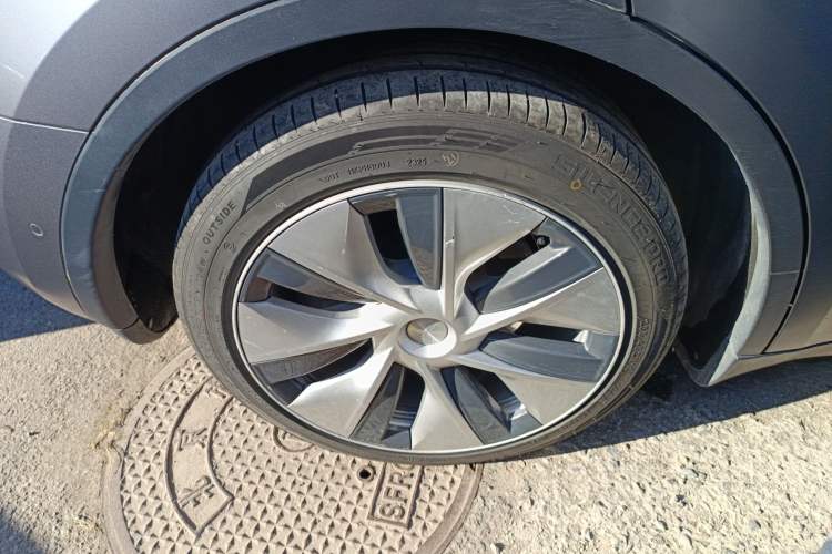 Used Tesla Model Y 2021 Standard Range Rear-Wheel Drive Version
