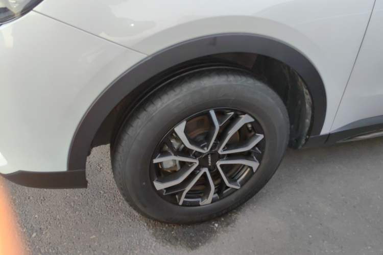 Used Haval H6 2021 National Trend Edition 1.5T Automatic Urban Version
