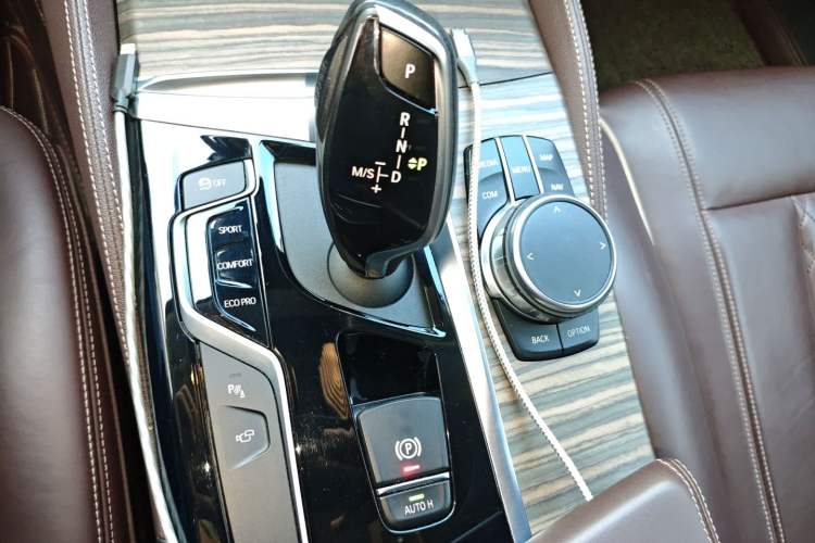 Used BMW 5 Series 2019 530Li Leading Model Luxury Package