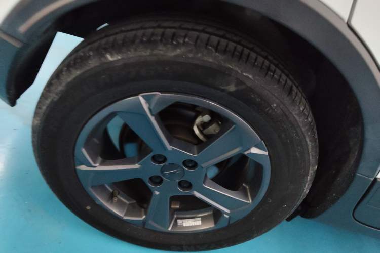 Used Geometry E Firefly 2022 320KM Cute Tiger 4-Seater
