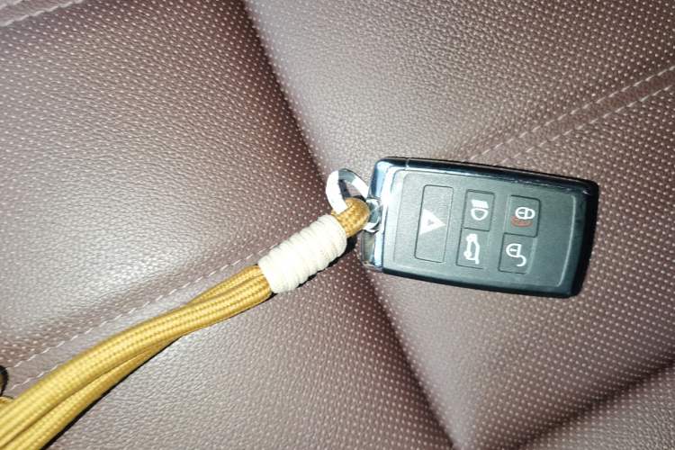 Used Land Rover Range Rover Evoque 2023 Aurora L 249 PS Luxury Edition
