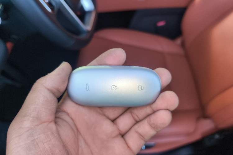 Used Li Auto L9 2023 Pro Model
