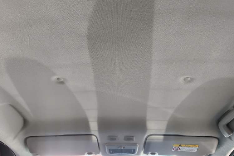 Used ORA Black Cat 2021 301 km Basic Version