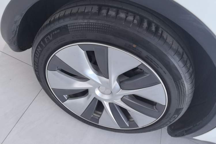 Used Tesla Model Y 2021 Standard Range Rear-Wheel Drive Version
