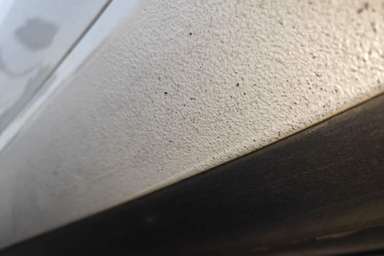 Used Tesla Model 3 2019 Standard Range Rear-Drive Upgraded Version
