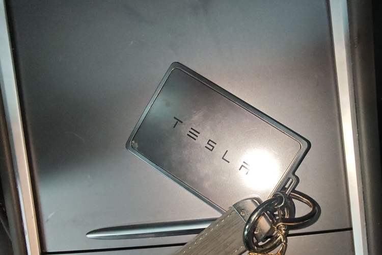 Used Tesla Model Y 2023 Rear-Wheel-Drive Version
