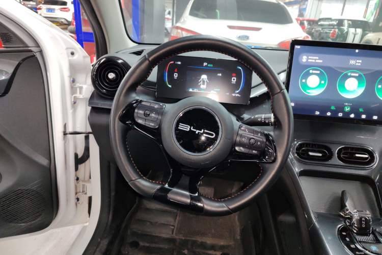 Used BYD e2 2023 Luxury Model
