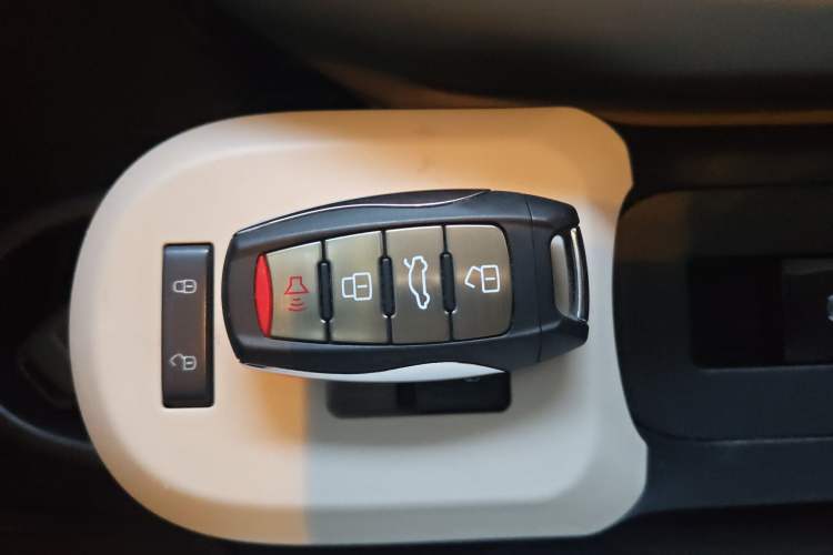 Used ORA Black Cat 2021 351 km Luxury Version