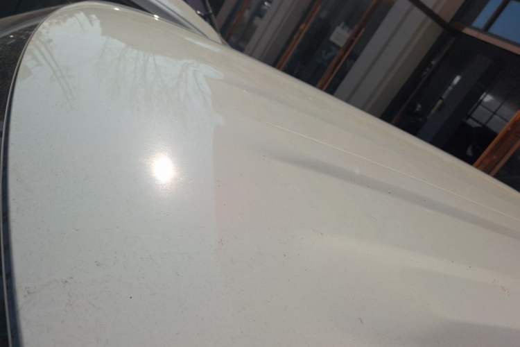 Used  Panda 2024 Panda Mini 200km Endurance Bear
