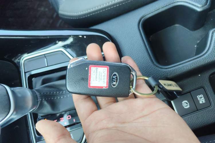 Used Kia Sportage R 2019 2.0L Automatic Smart Luxury Edition
