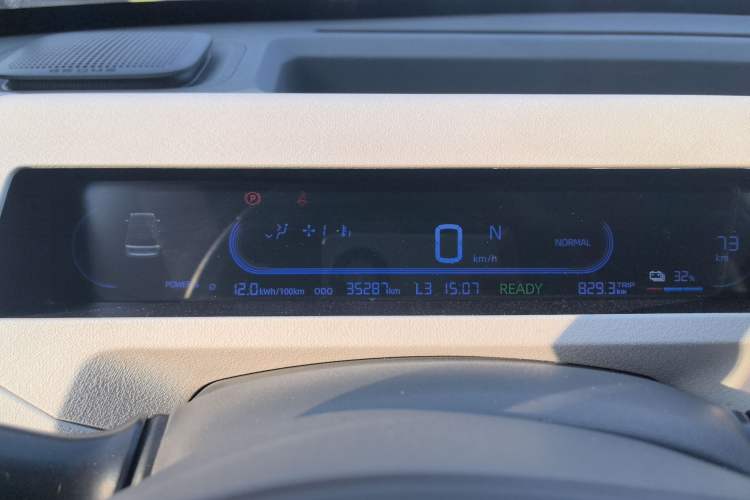 Used  Panda 2024 200km Panda Rider