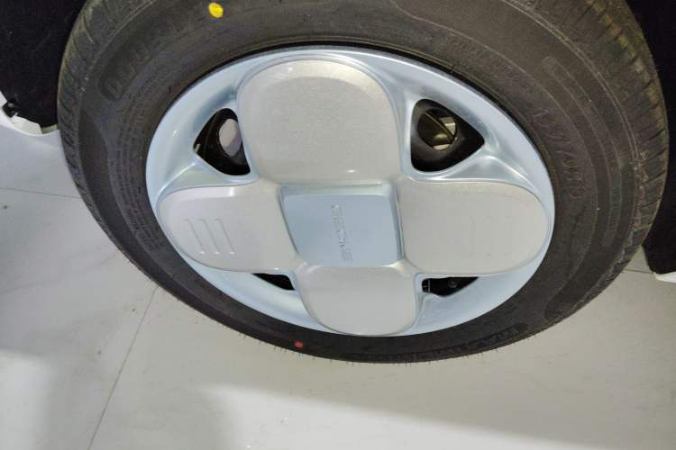 Used  Panda 2024 Panda Mini 200km Endurance Bear
