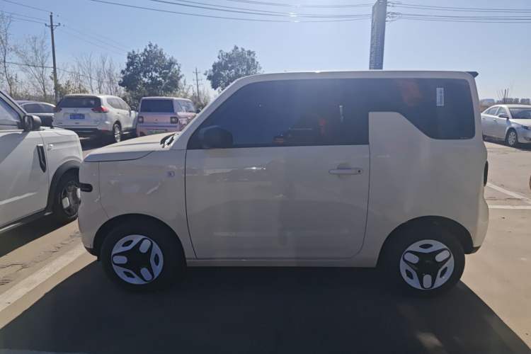 Used  Panda 2025 210 km – Yuanqi Bear