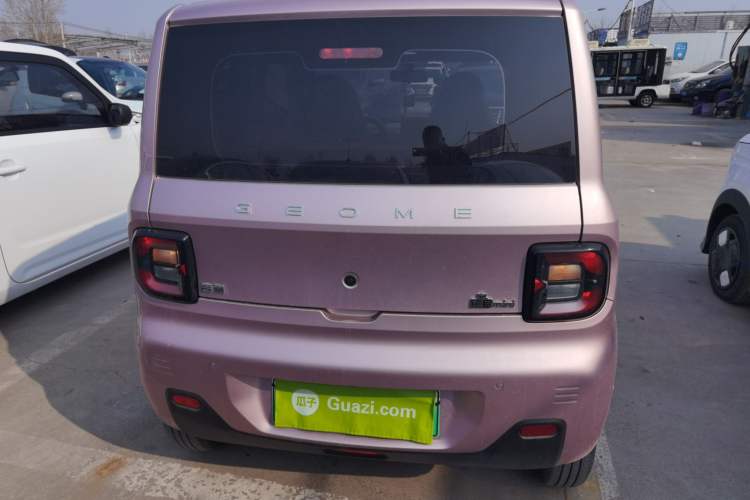 Used  Panda 2024 Panda Mini 200km Endurance Bear