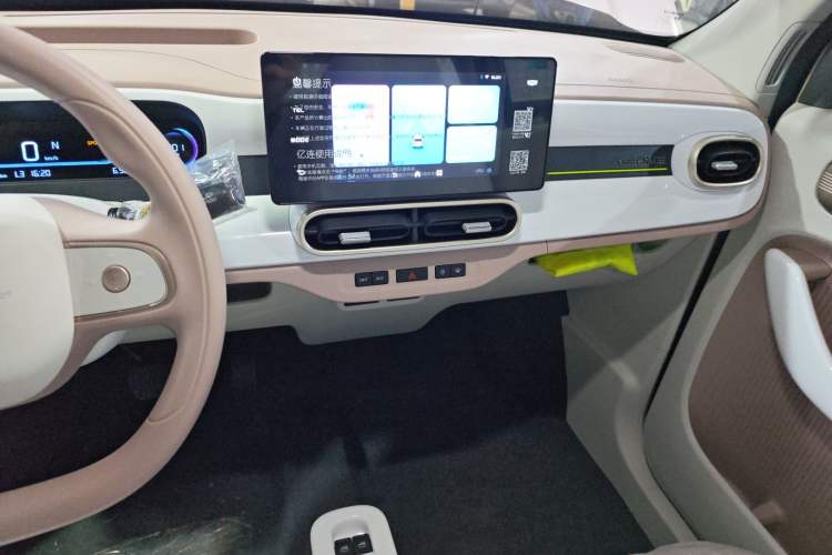 Used  Panda 2025 210 km – Yuanqi Bear
