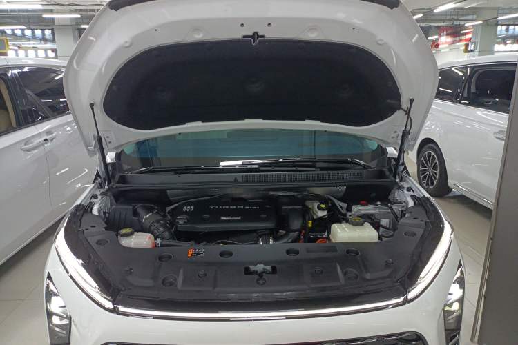 Used Buick GL8 New Energy 2024 Lu Zun Luxury Edition 7-Seater
