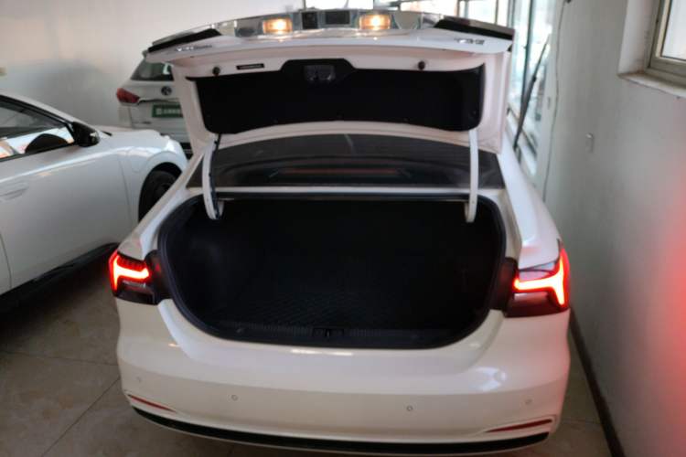 Used  ER6 2020 620 km Smart Edition