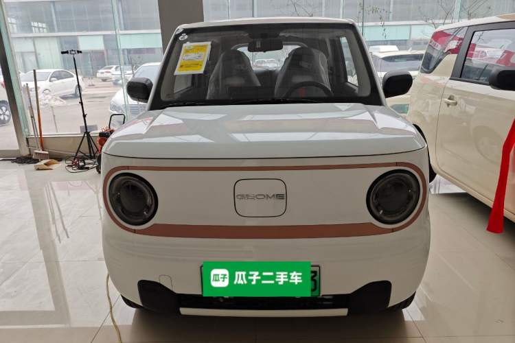 Used  Panda 2024 Panda Mini 200km Endurance Bear
