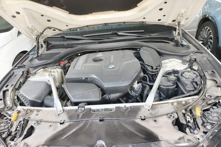 Used BMW 5 Series 2020 530Li Leading Model M Sport Package
