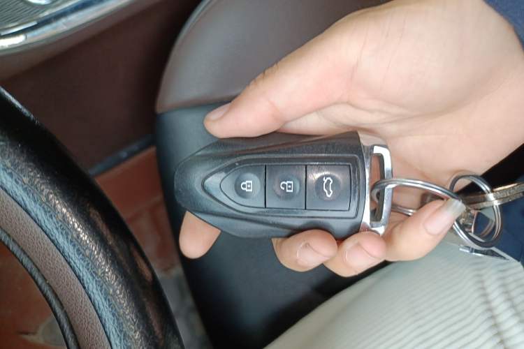 Used Leopaard CS9 2018 1.5T CVT Jingrui Model
